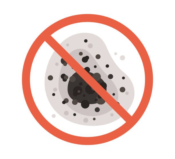 Best Emergency Mold Remediation  in Ephraim, UT